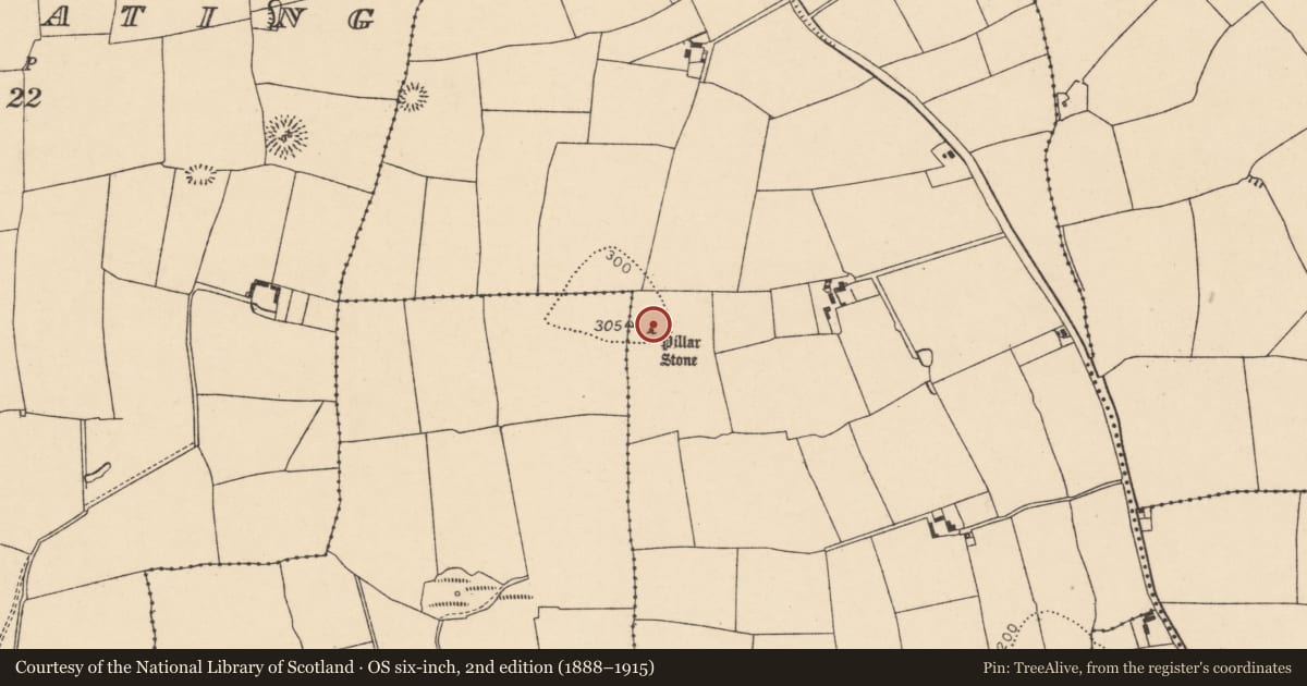 Ordnance Survey six-inch map, 2nd edition (1888–1915) covering the location of Standing stone, Ballylegan, County Cork, with a pin at the register's coordinates