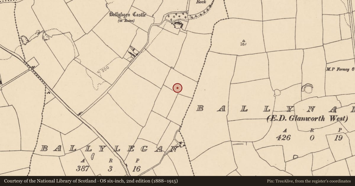 Ordnance Survey six-inch map, 2nd edition (1888–1915) covering the location of Ringfort - rath, Ballylegan, County Cork, with a pin at the register's coordinates