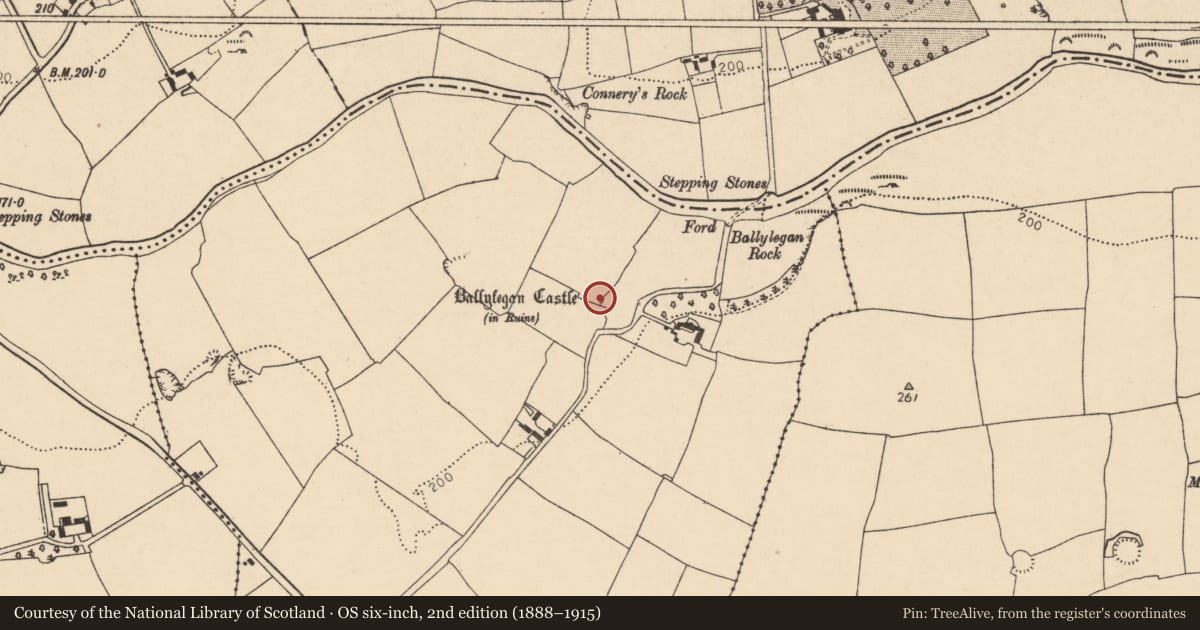 Ordnance Survey six-inch map, 2nd edition (1888–1915) covering the location of Castle - unclassified, Ballylegan, County Cork, with a pin at the register's coordinates
