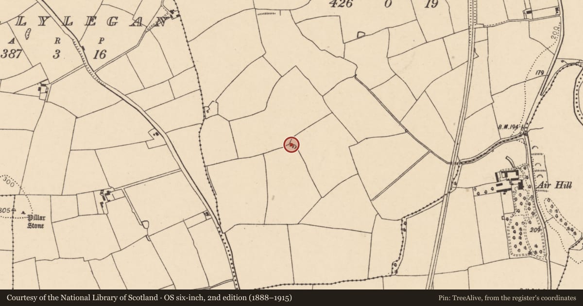 Ordnance Survey six-inch map, 2nd edition (1888–1915) covering the location of Ringfort - rath, Ballynamona (Fermoy By., Glanworth Par.), County Cork, with a pin at the register's coordinates
