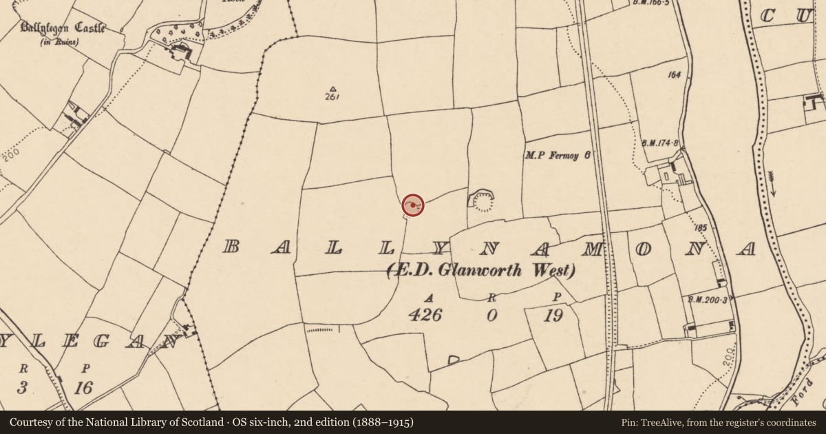 Ordnance Survey six-inch map, 2nd edition (1888–1915) covering the location of Ringfort - rath, Ballynamona (Fermoy By., Glanworth Par.), County Cork, with a pin at the register's coordinates