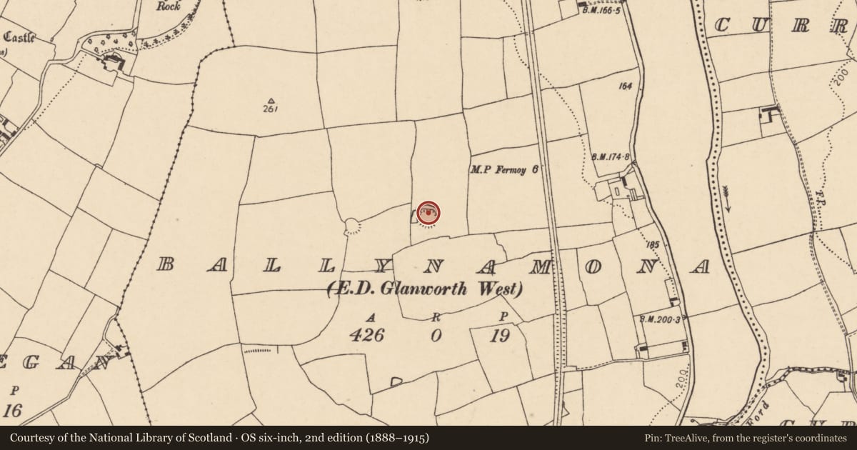 Ordnance Survey six-inch map, 2nd edition (1888–1915) covering the location of Ringfort - rath, Ballynamona (Fermoy By., Glanworth Par.), County Cork, with a pin at the register's coordinates