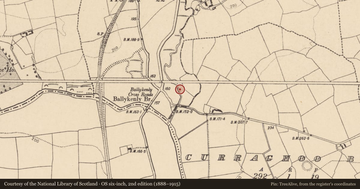 Ordnance Survey six-inch map, 2nd edition (1888–1915) covering the location of Water mill - horizontal-wheeled, Ballykenly, County Cork, with a pin at the register's coordinates