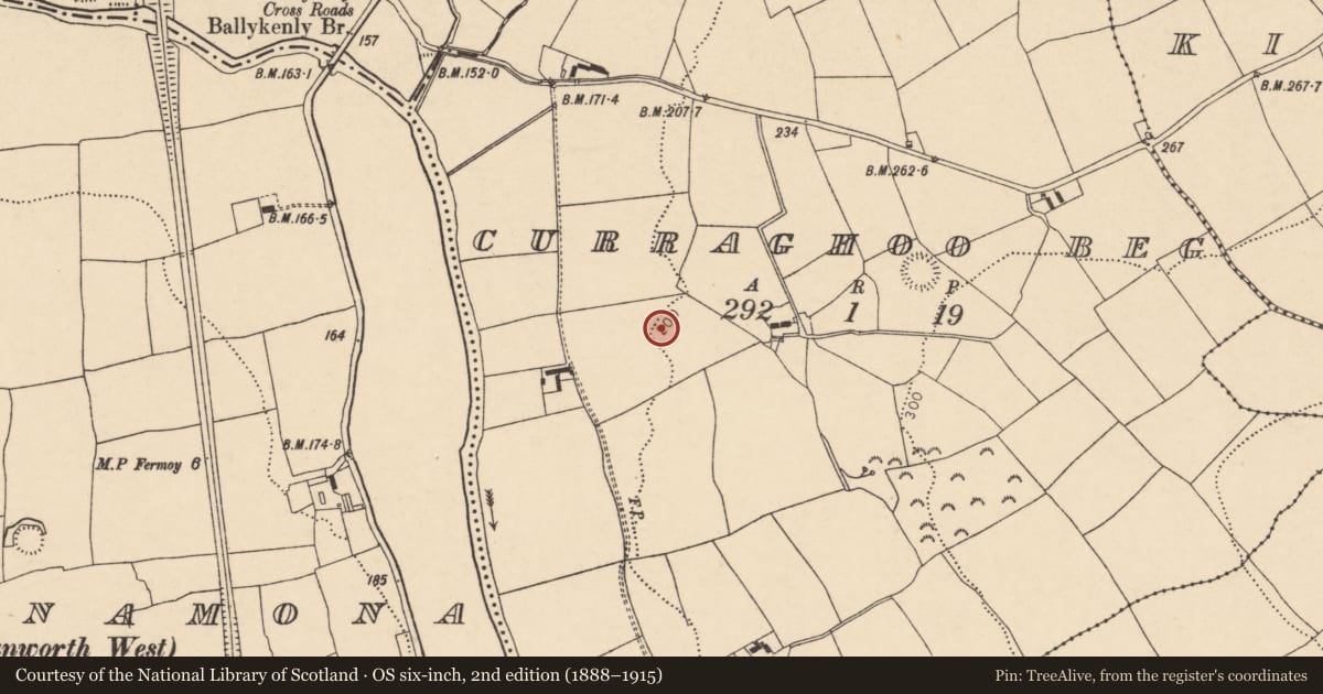 Ordnance Survey six-inch map, 2nd edition (1888–1915) covering the location of Enclosure, Curraghoo Beg, County Cork, with a pin at the register's coordinates