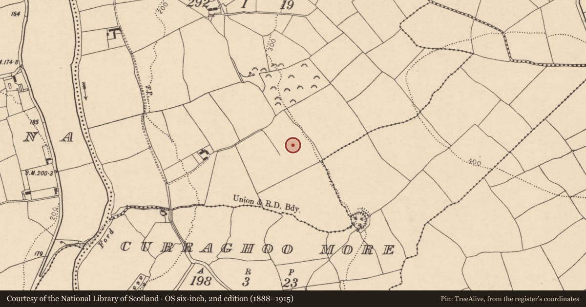 Ordnance Survey six-inch map, 2nd edition (1888–1915) covering the location of Fulacht fia, Curraghoo Beg, County Cork, with a pin at the register's coordinates