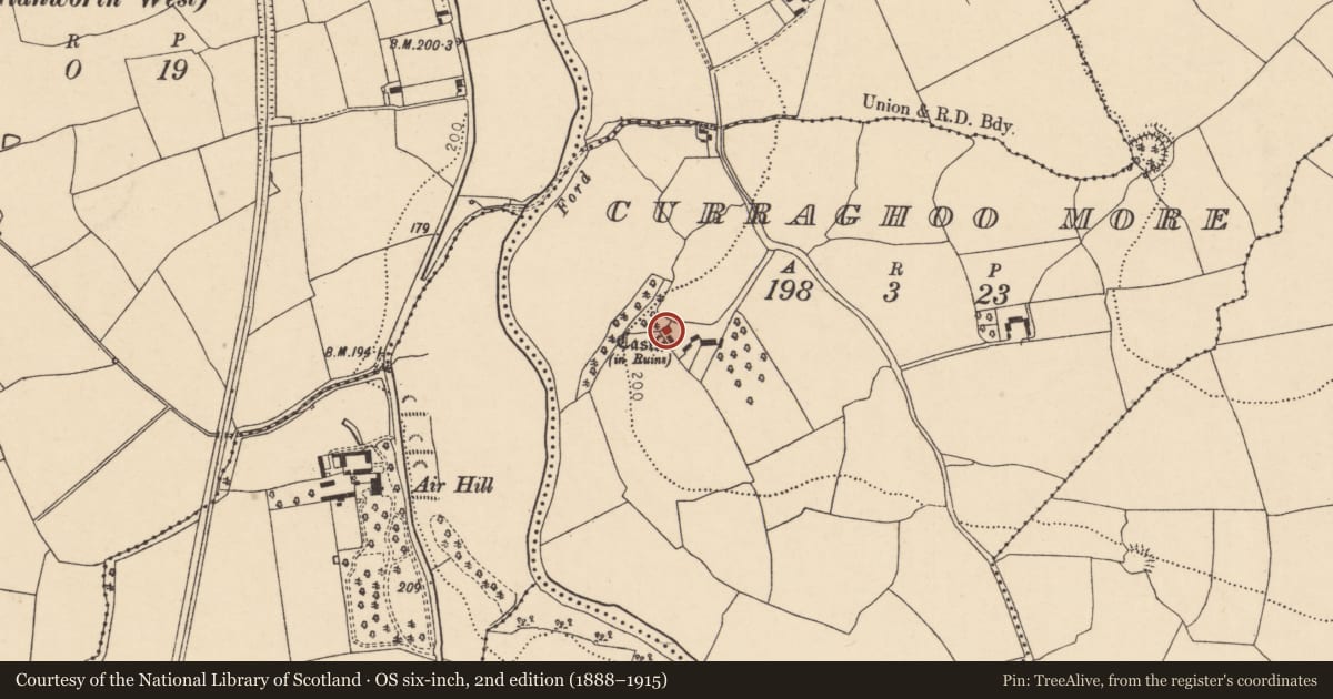 Ordnance Survey six-inch map, 2nd edition (1888–1915) covering the location of Castle - tower house, Curraghoo More, County Cork, with a pin at the register's coordinates