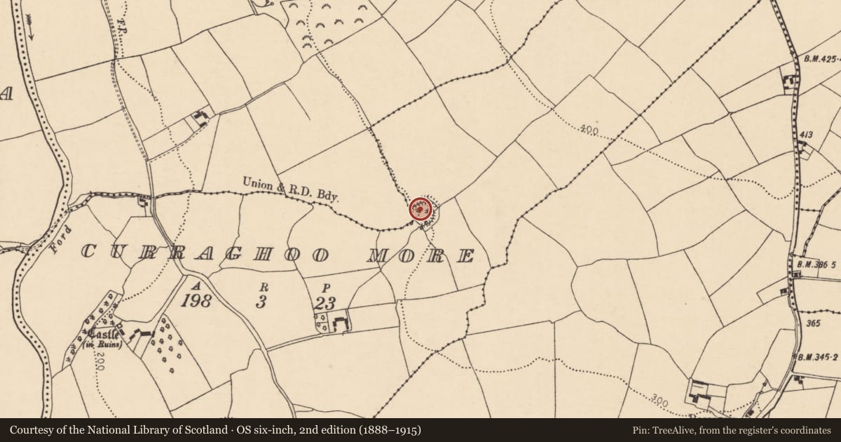 Ordnance Survey six-inch map, 2nd edition (1888–1915) covering the location of Fulacht fia, Curraghoo More, County Cork, with a pin at the register's coordinates