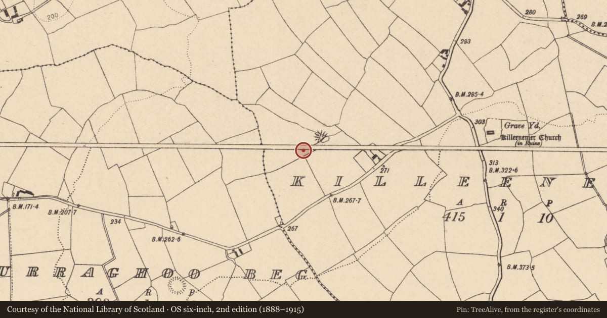 Ordnance Survey six-inch map, 2nd edition (1888–1915) covering the location of Fulacht fia, Killeenemer, County Cork, with a pin at the register's coordinates