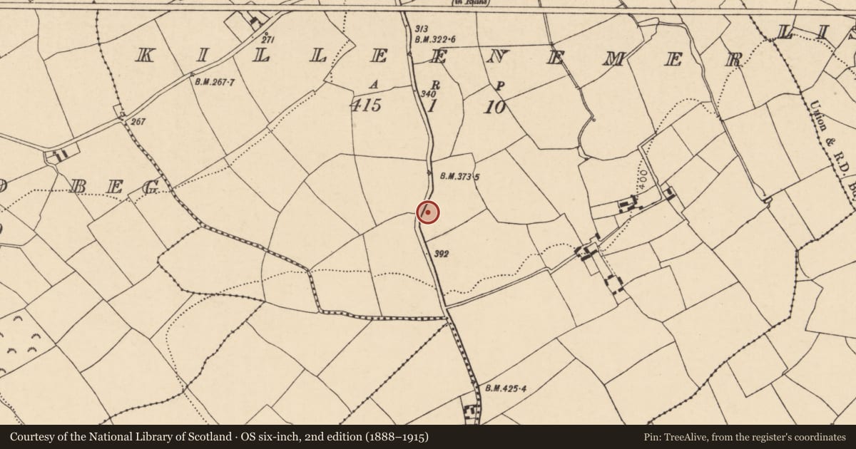 Ordnance Survey six-inch map, 2nd edition (1888–1915) covering the location of Bullaun stone, Killeenemer, County Cork, with a pin at the register's coordinates