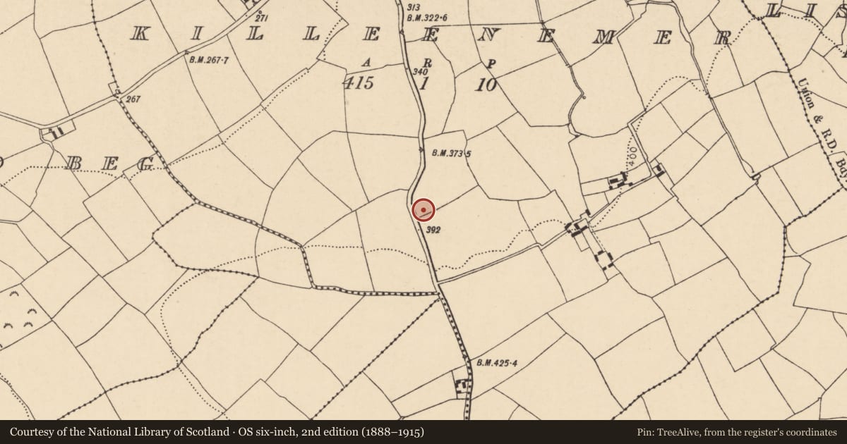 Ordnance Survey six-inch map, 2nd edition (1888–1915) covering the location of Standing stone, Killeenemer, County Cork, with a pin at the register's coordinates