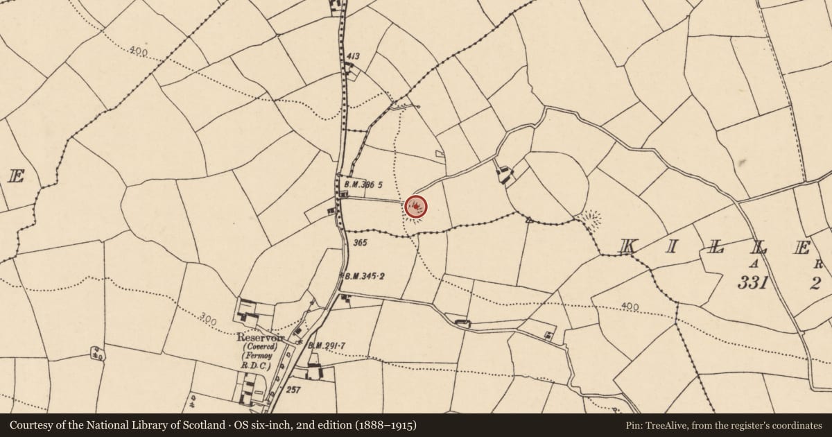 Ordnance Survey six-inch map, 2nd edition (1888–1915) covering the location of Ringfort - rath, Killeagh, County Cork, with a pin at the register's coordinates