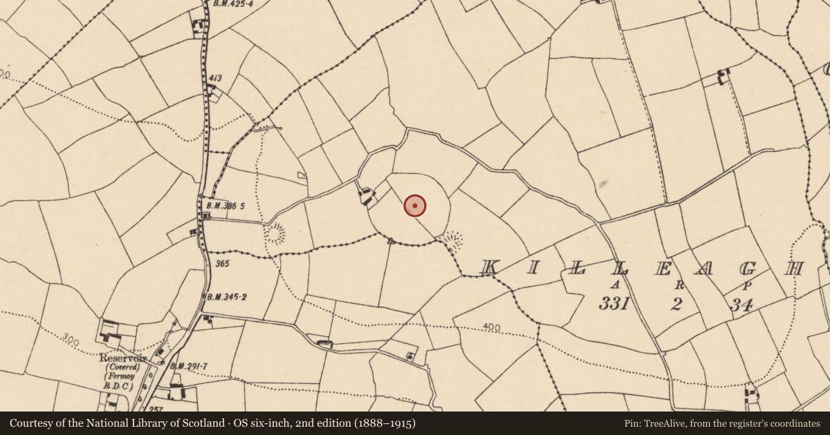 Ordnance Survey six-inch map, 2nd edition (1888–1915) covering the location of Ecclesiastical enclosure, Killeagh, County Cork, with a pin at the register's coordinates