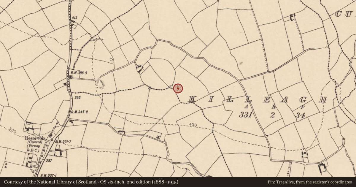 Ordnance Survey six-inch map, 2nd edition (1888–1915) covering the location of Ringfort - rath, Killeagh, County Cork, with a pin at the register's coordinates