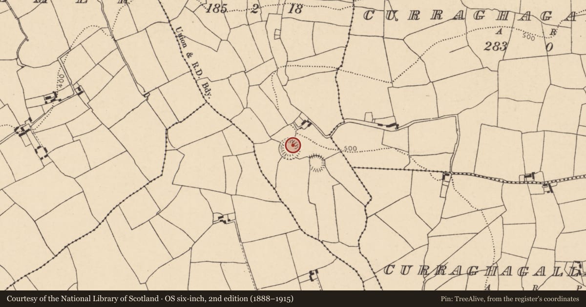 Ordnance Survey six-inch map, 2nd edition (1888–1915) covering the location of Ringfort - rath, Lisleagh, County Cork, with a pin at the register's coordinates