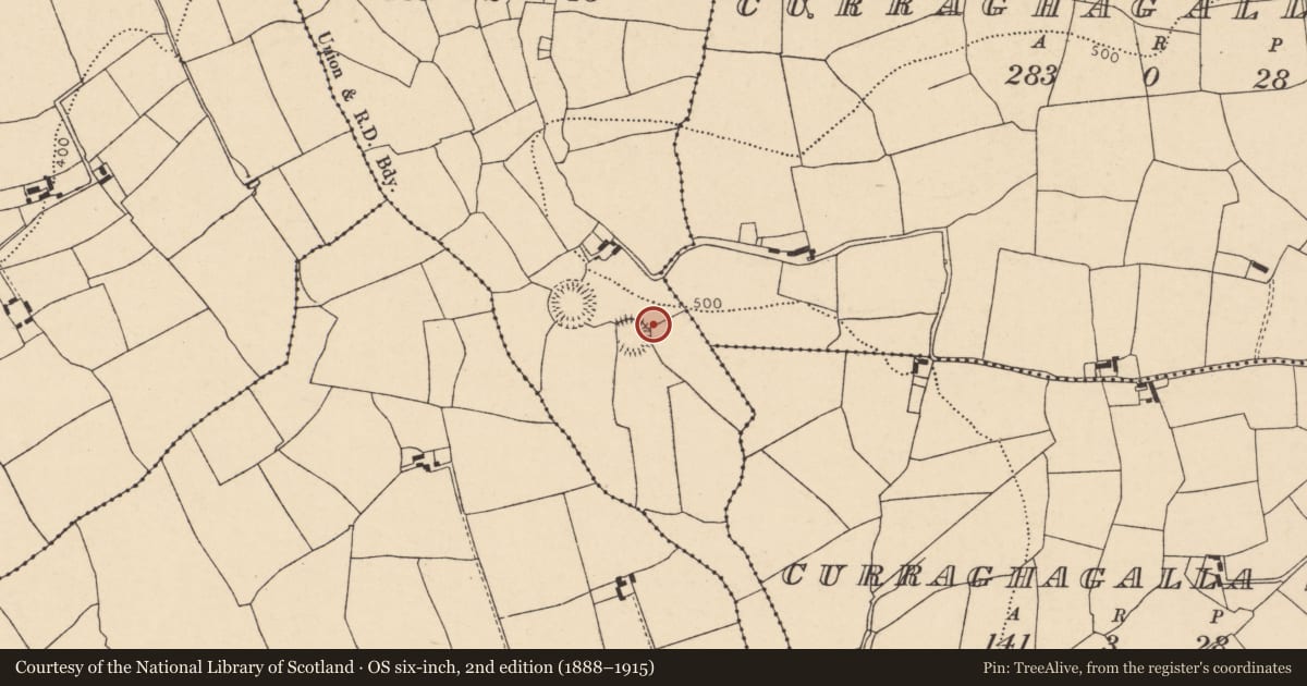 Ordnance Survey six-inch map, 2nd edition (1888–1915) covering the location of Souterrain, Lisleagh, County Cork, with a pin at the register's coordinates