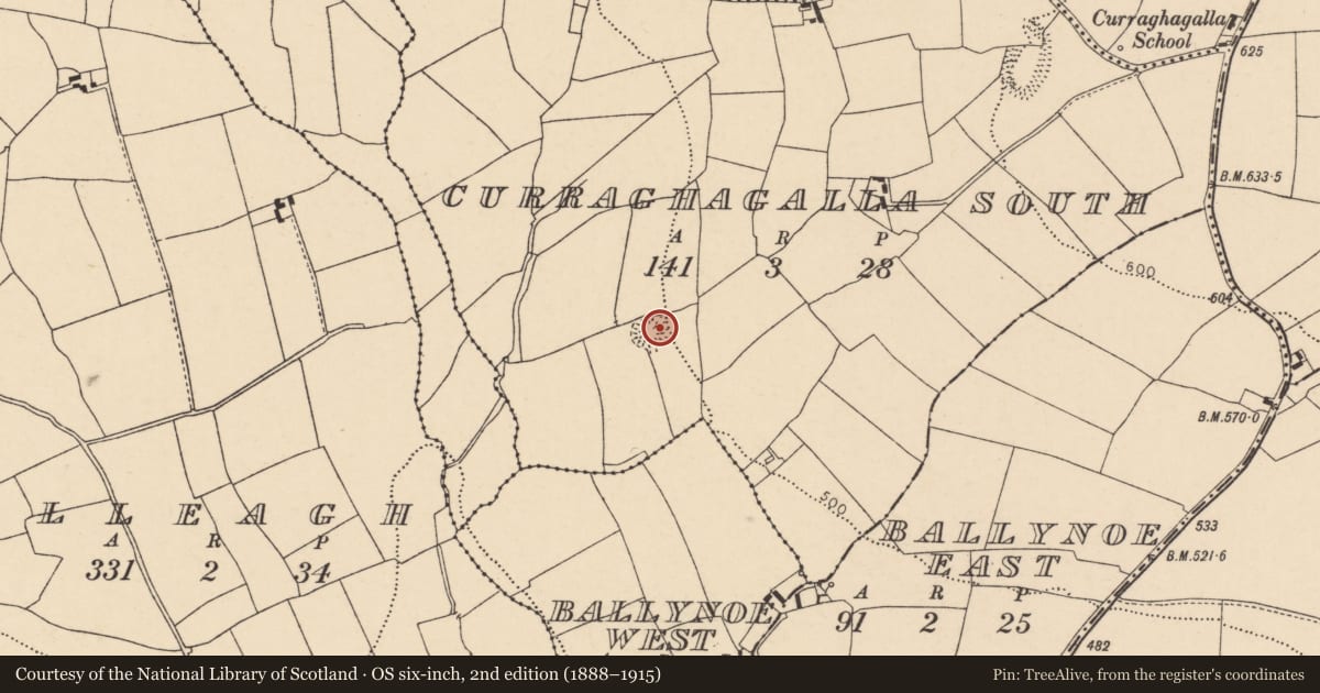 Ordnance Survey six-inch map, 2nd edition (1888–1915) covering the location of Ringfort - rath, Curraghagalla South, County Cork, with a pin at the register's coordinates
