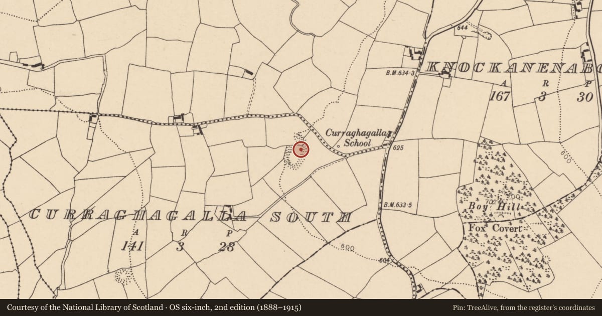 Ordnance Survey six-inch map, 2nd edition (1888–1915) covering the location of Enclosure, Curraghagalla South, County Cork, with a pin at the register's coordinates