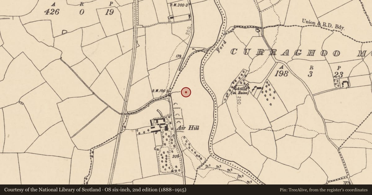Ordnance Survey six-inch map, 2nd edition (1888–1915) covering the location of Standing stone, Boherash, County Cork, with a pin at the register's coordinates
