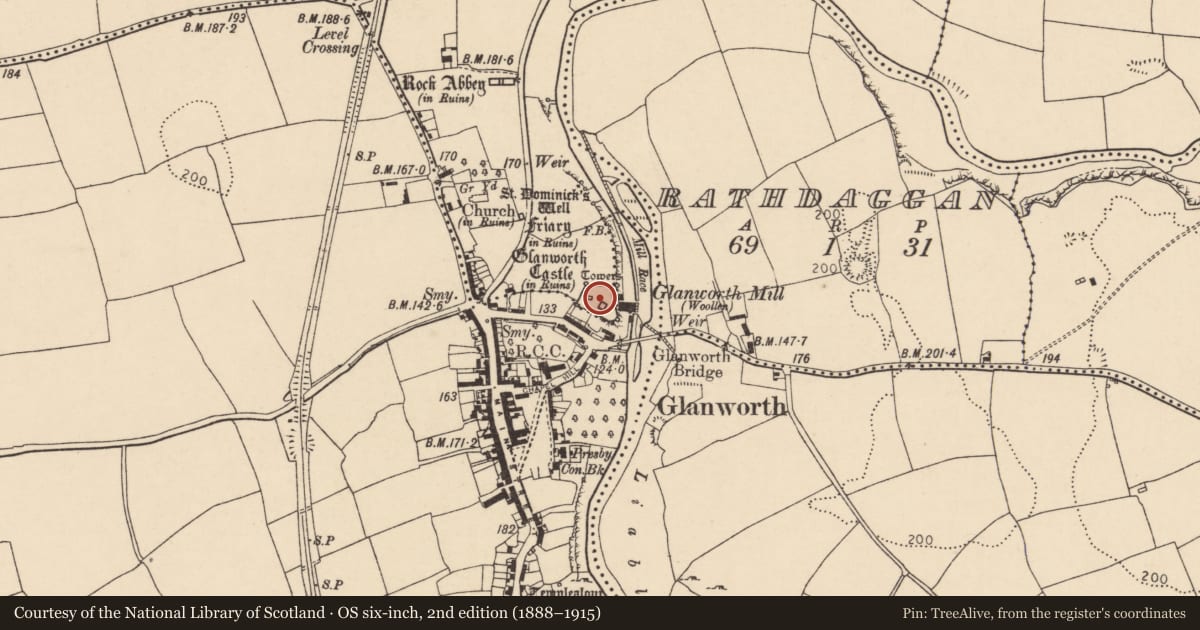 Ordnance Survey six-inch map, 2nd edition (1888–1915) covering the location of Castle - Anglo-Norman masonry castle, Boherash, County Cork, with a pin at the register's coordinates