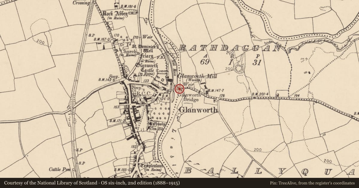 Ordnance Survey six-inch map, 2nd edition (1888–1915) covering the location of Bridge, County Cork, with a pin at the register's coordinates