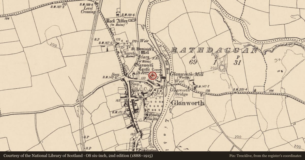 Ordnance Survey six-inch map, 2nd edition (1888–1915) covering the location of Sheela-na-gig, Boherash, County Cork, with a pin at the register's coordinates