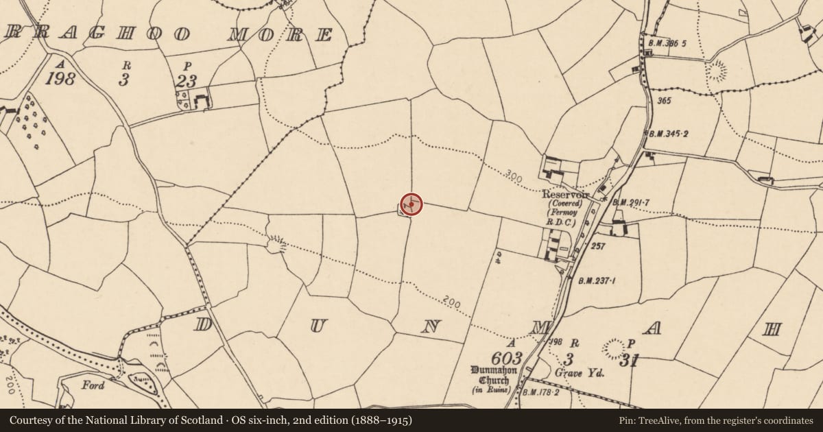 Ordnance Survey six-inch map, 2nd edition (1888–1915) covering the location of Enclosure, Dunmahon, County Cork, with a pin at the register's coordinates