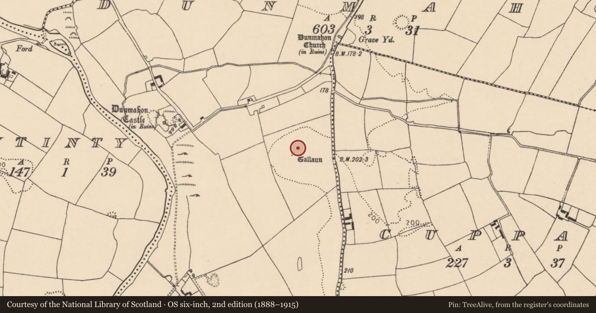 Ordnance Survey six-inch map, 2nd edition (1888–1915) covering the location of Standing stone, Dunmahon, County Cork, with a pin at the register's coordinates