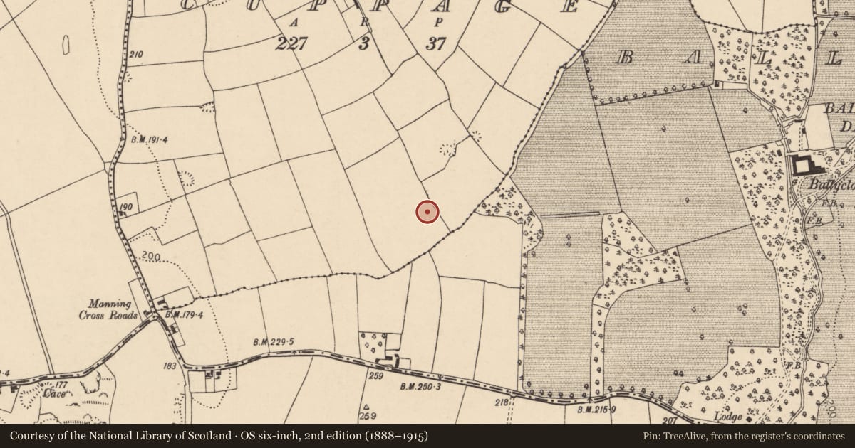 Ordnance Survey six-inch map, 2nd edition (1888–1915) covering the location of Ringfort - rath, Cuppage, County Cork, with a pin at the register's coordinates