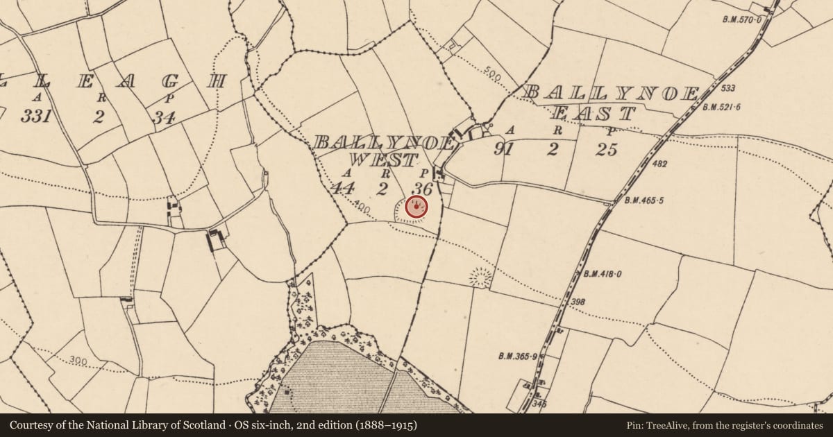 Ordnance Survey six-inch map, 2nd edition (1888–1915) covering the location of Enclosure, Ballynoe West, County Cork, with a pin at the register's coordinates