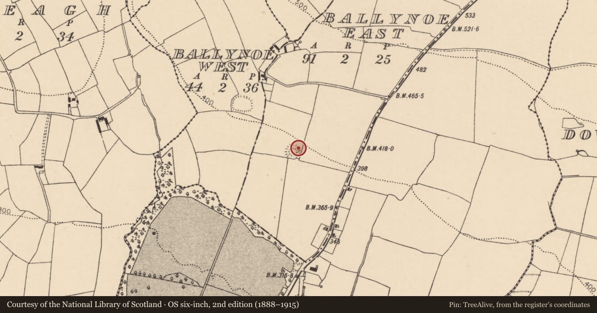 Ordnance Survey six-inch map, 2nd edition (1888–1915) covering the location of Ringfort - rath, Ballynoe East, County Cork, with a pin at the register's coordinates
