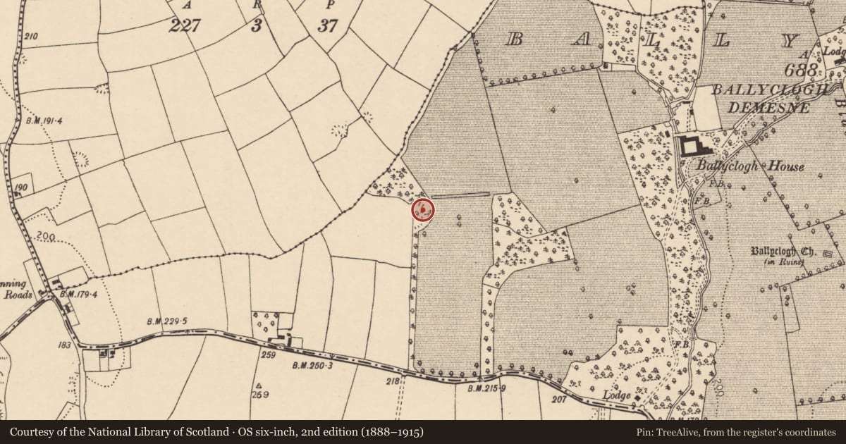 Ordnance Survey six-inch map, 2nd edition (1888–1915) covering the location of Ringfort - rath, Ballyclogh, County Cork, with a pin at the register's coordinates