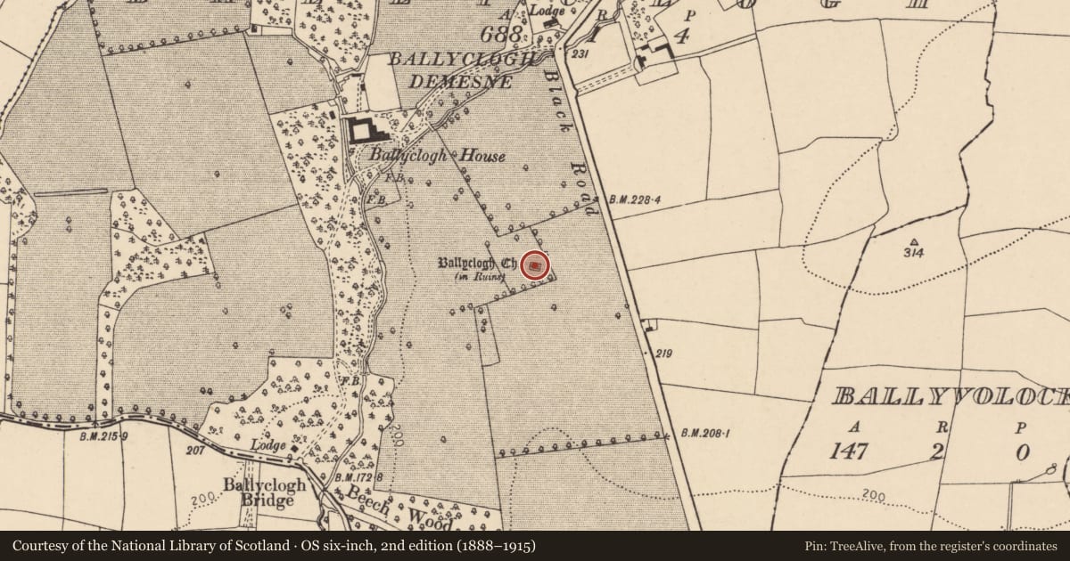 Ordnance Survey six-inch map, 2nd edition (1888–1915) covering the location of Church, Ballyclogh, County Cork, with a pin at the register's coordinates
