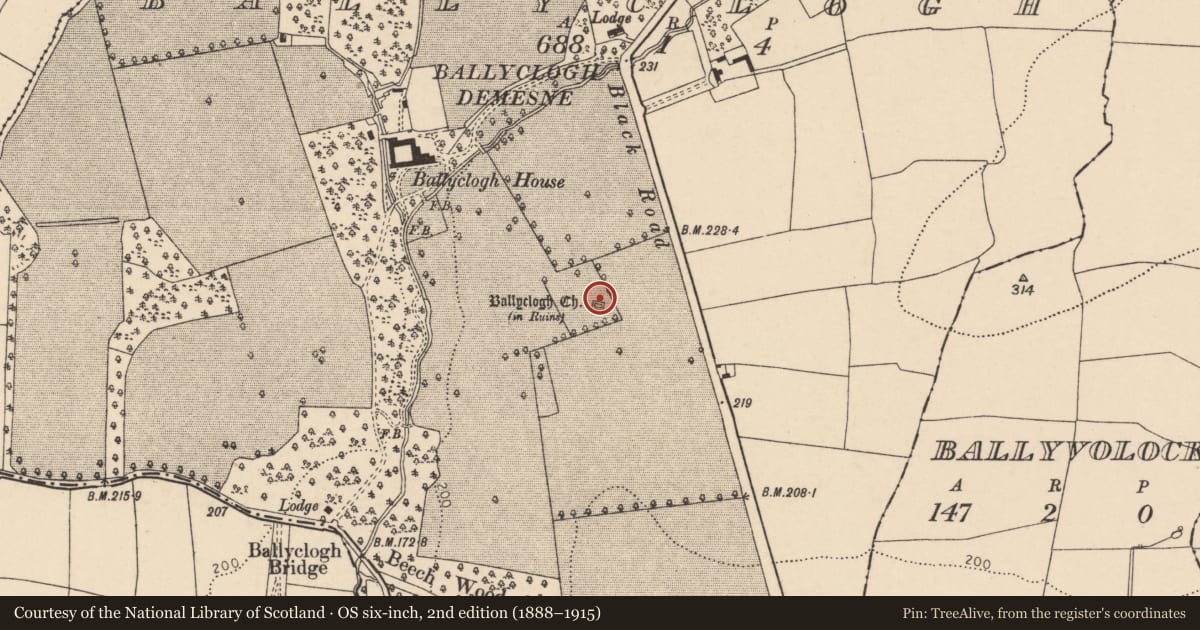 Ordnance Survey six-inch map, 2nd edition (1888–1915) covering the location of Graveyard, Ballyclogh, County Cork, with a pin at the register's coordinates