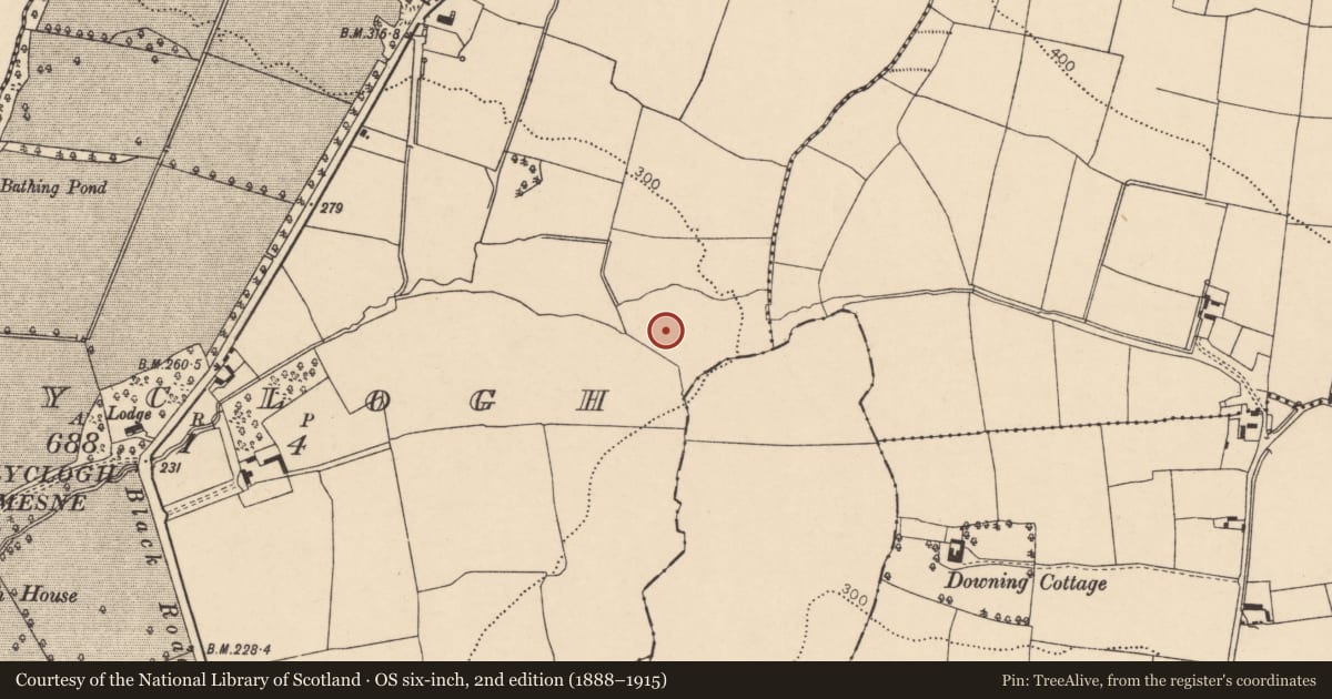 Ordnance Survey six-inch map, 2nd edition (1888–1915) covering the location of Fulacht fia, Ballyclogh, County Cork, with a pin at the register's coordinates