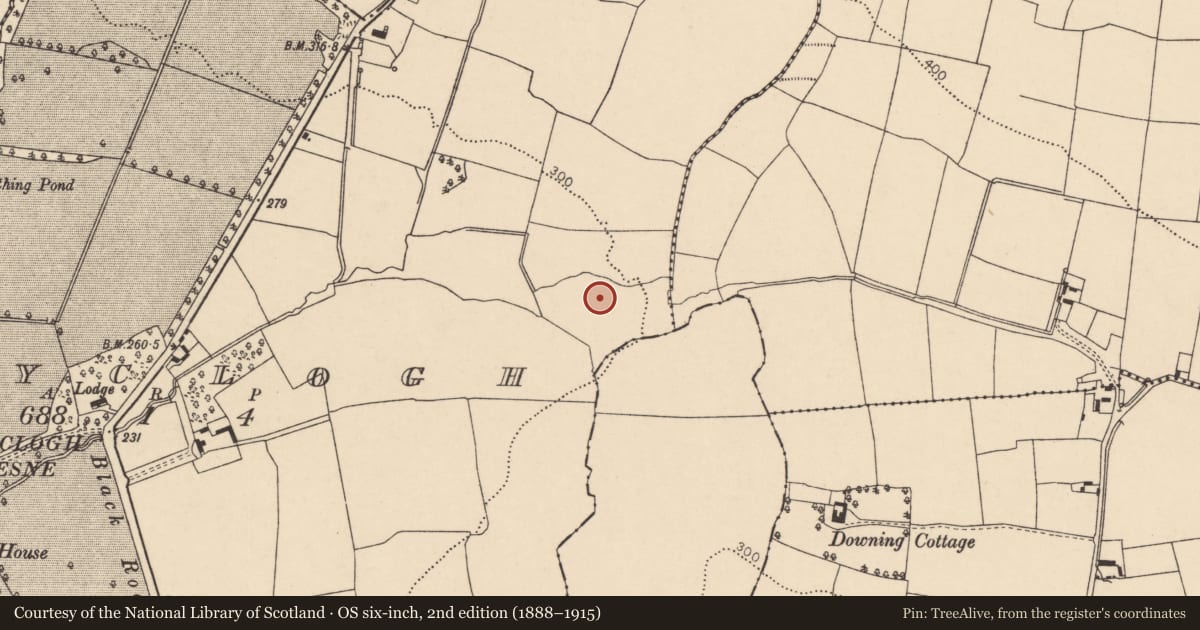 Ordnance Survey six-inch map, 2nd edition (1888–1915) covering the location of Fulacht fia, Ballyclogh, County Cork, with a pin at the register's coordinates