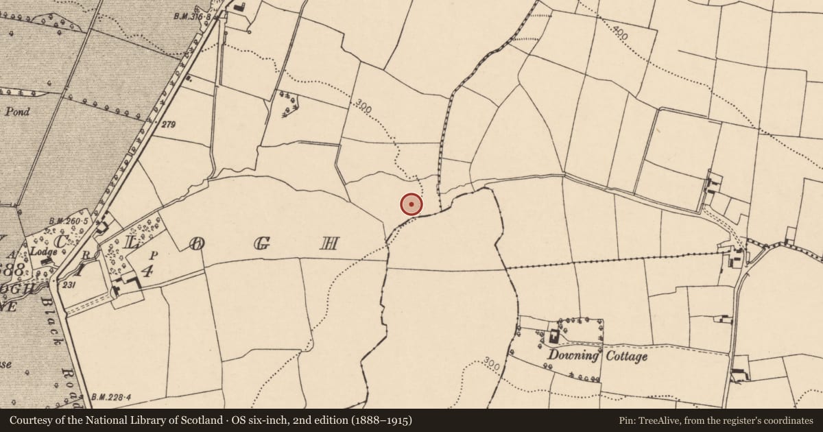 Ordnance Survey six-inch map, 2nd edition (1888–1915) covering the location of Excavation - miscellaneous, Ballyclogh, County Cork, with a pin at the register's coordinates