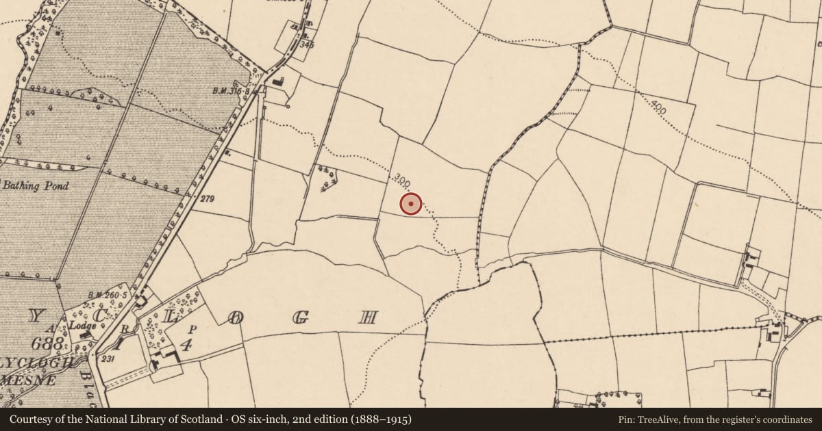 Ordnance Survey six-inch map, 2nd edition (1888–1915) covering the location of Fulacht fia, Ballyclogh, County Cork, with a pin at the register's coordinates