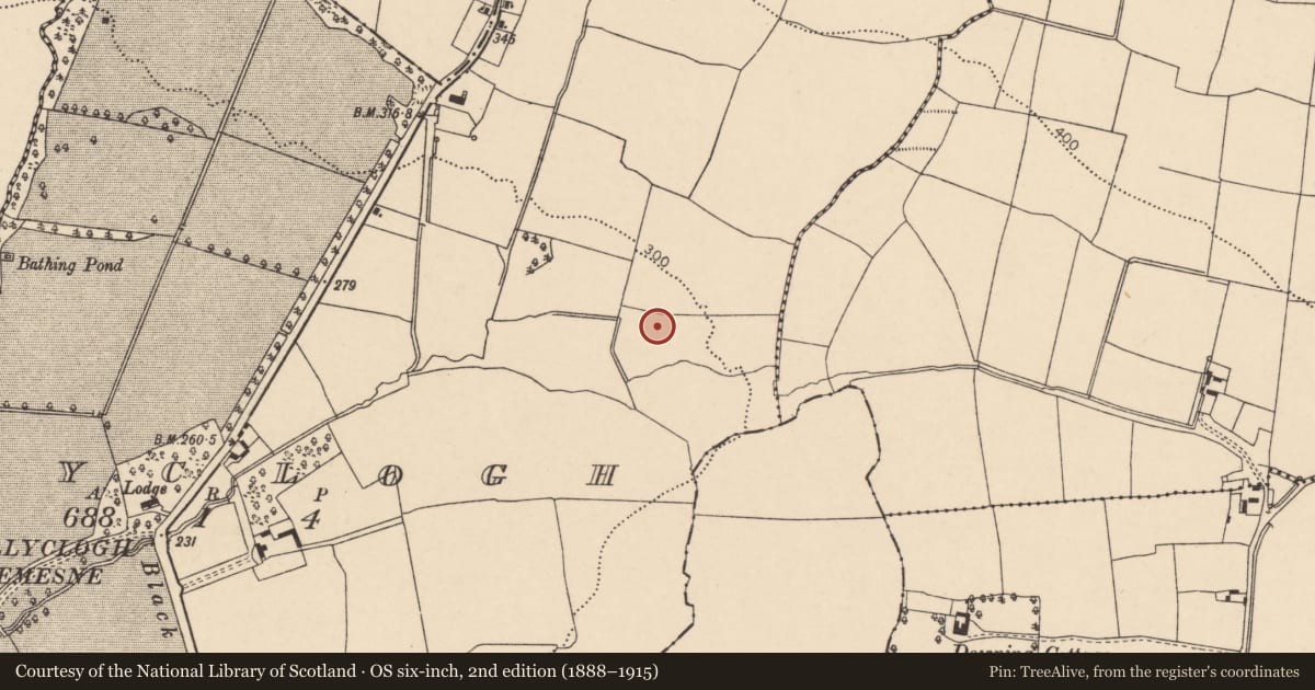 Ordnance Survey six-inch map, 2nd edition (1888–1915) covering the location of Fulacht fia, Ballyclogh, County Cork, with a pin at the register's coordinates