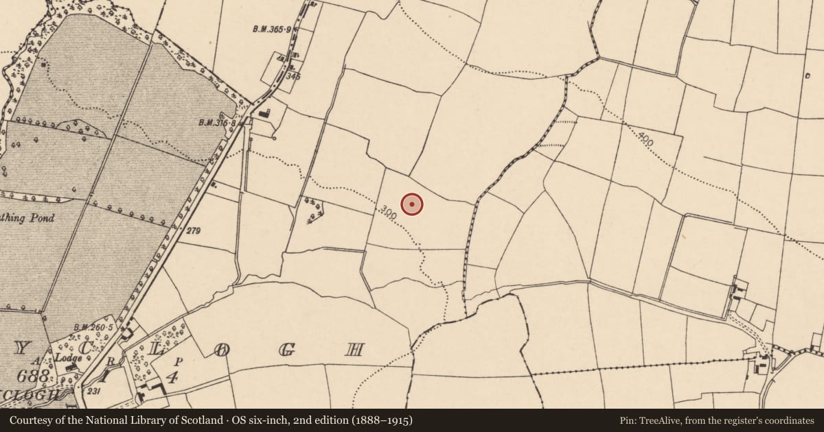 Ordnance Survey six-inch map, 2nd edition (1888–1915) covering the location of Fulacht fia, Ballyclogh, County Cork, with a pin at the register's coordinates