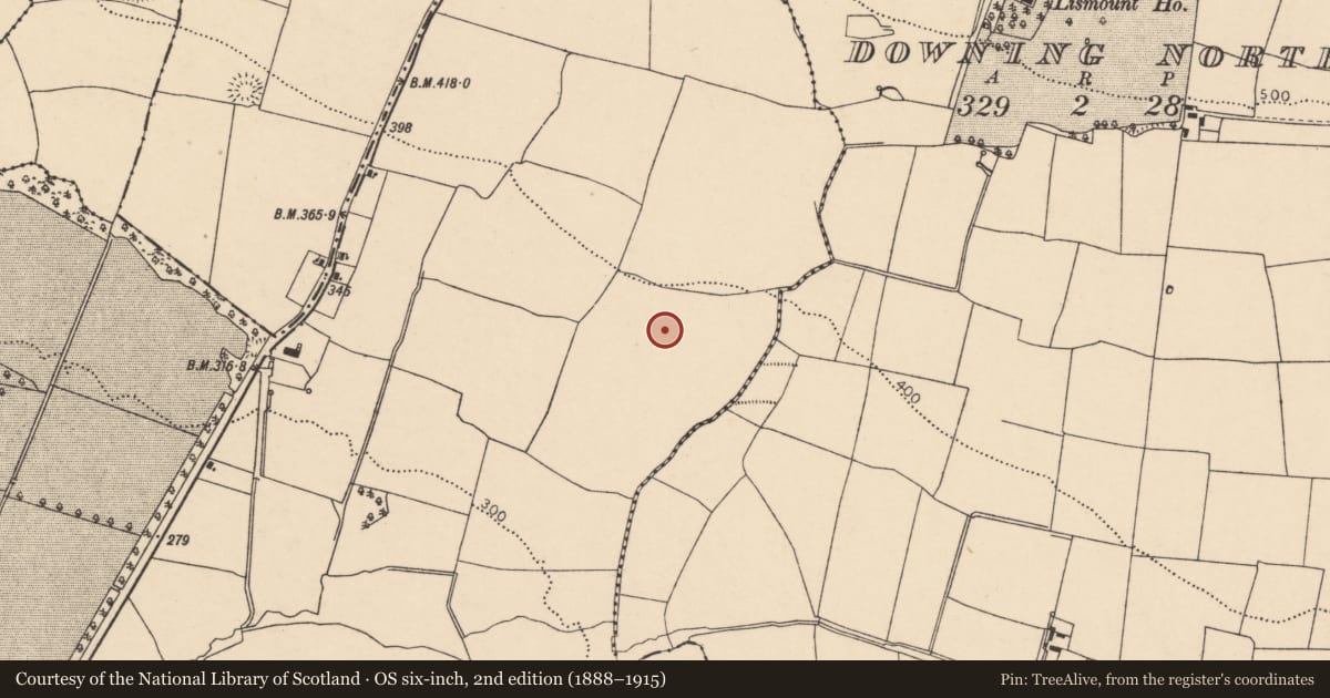Ordnance Survey six-inch map, 2nd edition (1888–1915) covering the location of Ringfort - rath, Ballyclogh, County Cork, with a pin at the register's coordinates