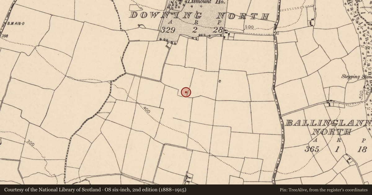 Ordnance Survey six-inch map, 2nd edition (1888–1915) covering the location of Fulacht fia, Downing North, County Cork, with a pin at the register's coordinates