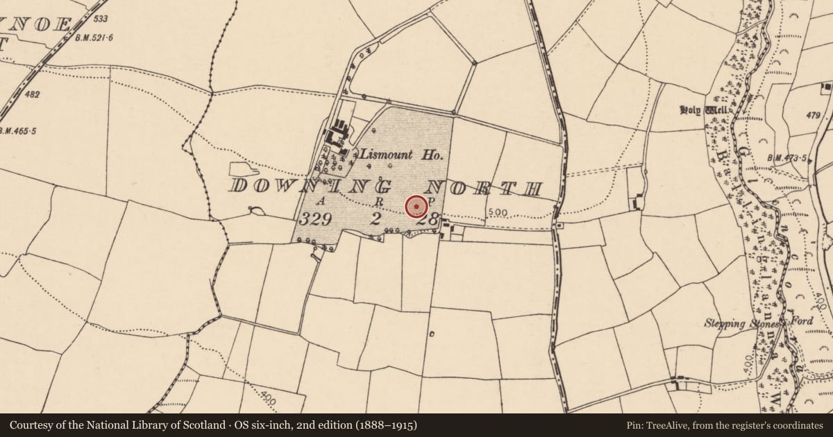Ordnance Survey six-inch map, 2nd edition (1888–1915) covering the location of Enclosure, Downing North, County Cork, with a pin at the register's coordinates
