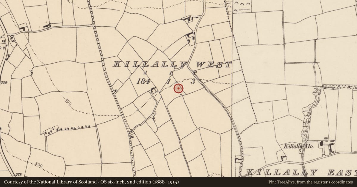 Ordnance Survey six-inch map, 2nd edition (1888–1915) covering the location of Fulacht fia, Killally West, County Cork, with a pin at the register's coordinates