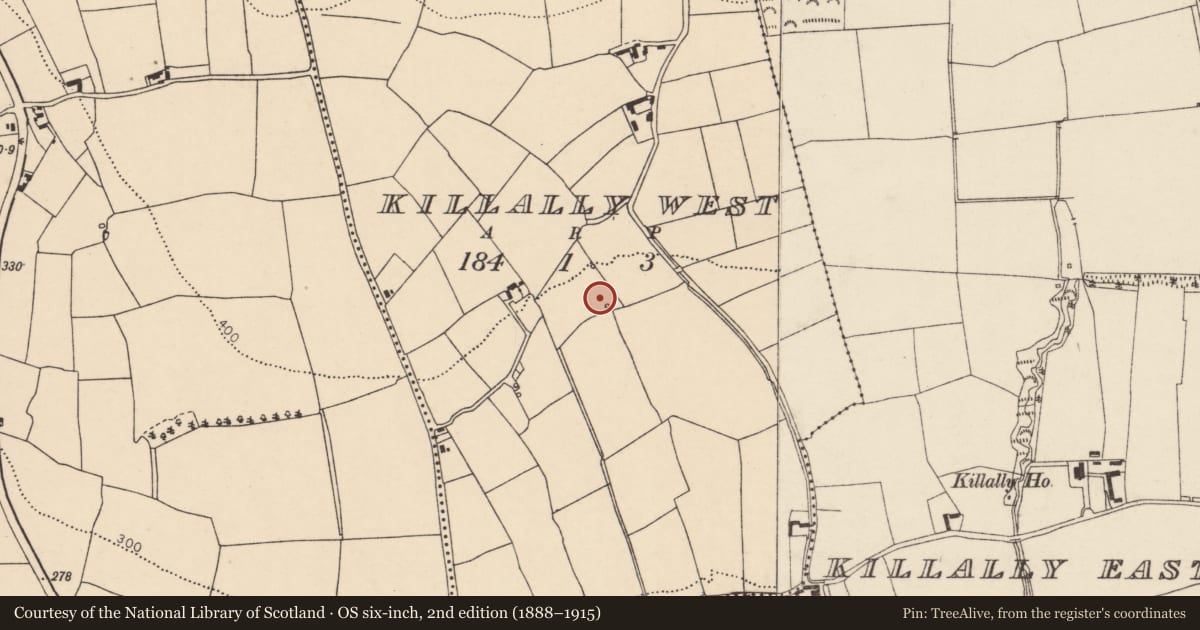 Ordnance Survey six-inch map, 2nd edition (1888–1915) covering the location of Fulacht fia, Killally West, County Cork, with a pin at the register's coordinates