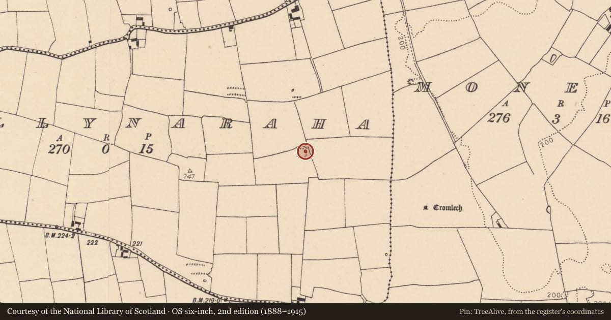 Ordnance Survey six-inch map, 2nd edition (1888–1915) covering the location of Ringfort - rath, Ballynaraha, County Cork, with a pin at the register's coordinates