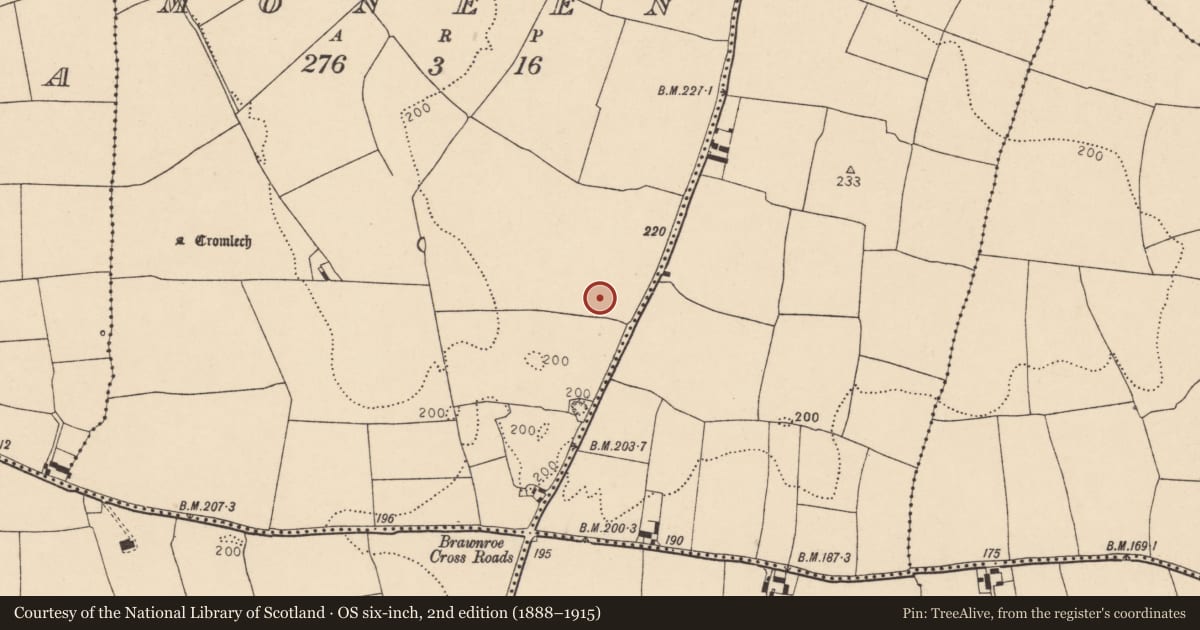 Ordnance Survey six-inch map, 2nd edition (1888–1915) covering the location of Burial, Moneen, County Cork, with a pin at the register's coordinates