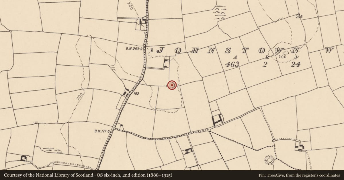 Ordnance Survey six-inch map, 2nd edition (1888–1915) covering the location of Ringfort - rath, Johnstown West, County Cork, with a pin at the register's coordinates