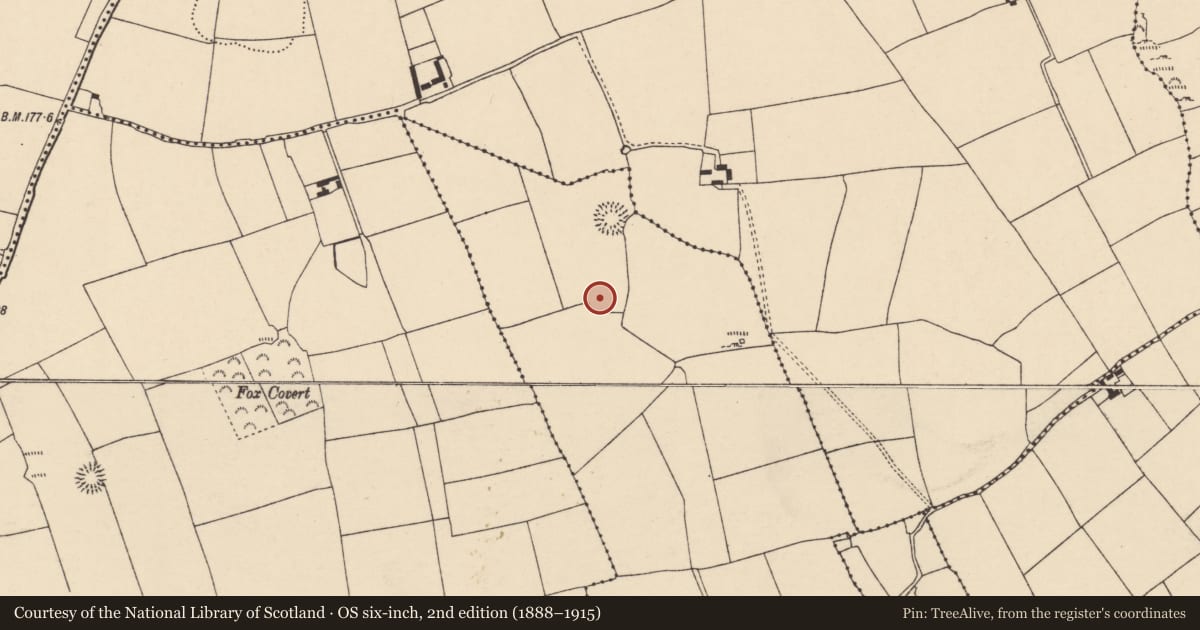 Ordnance Survey six-inch map, 2nd edition (1888–1915) covering the location of Ringfort - rath, Inchinapallas, County Cork, with a pin at the register's coordinates