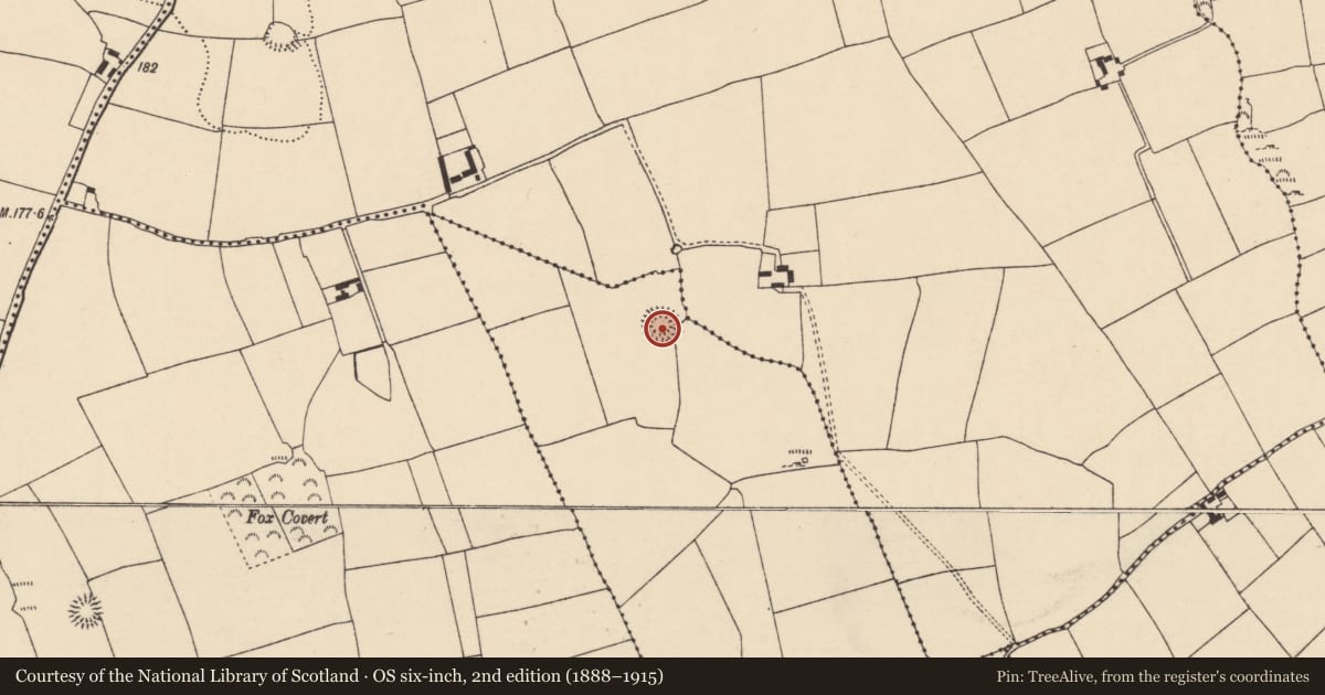 Ordnance Survey six-inch map, 2nd edition (1888–1915) covering the location of Ringfort - rath, Inchinapallas, County Cork, with a pin at the register's coordinates