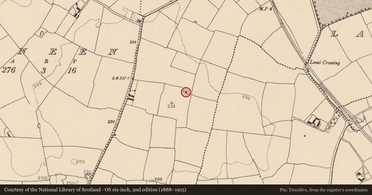 Ordnance Survey six-inch map, 2nd edition (1888–1915) covering the location of Ringfort - rath, Glanworth, County Cork, with a pin at the register's coordinates